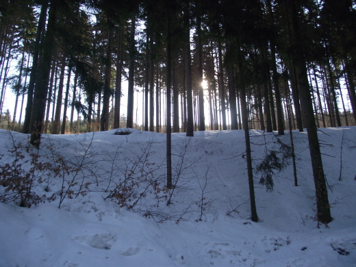 DSCF6962