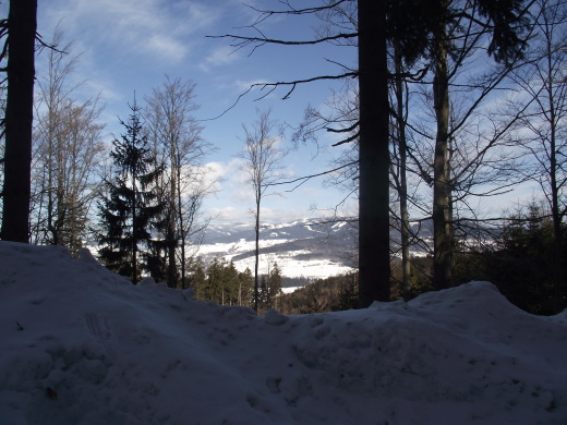DSCF6966
