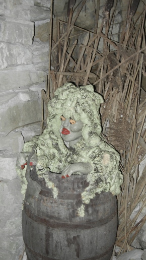 DSCN0921
